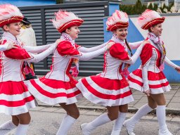 Faschingszug Diesenbach 2025_48